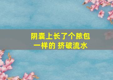 阴囊上长了个脓包一样的 挤破流水